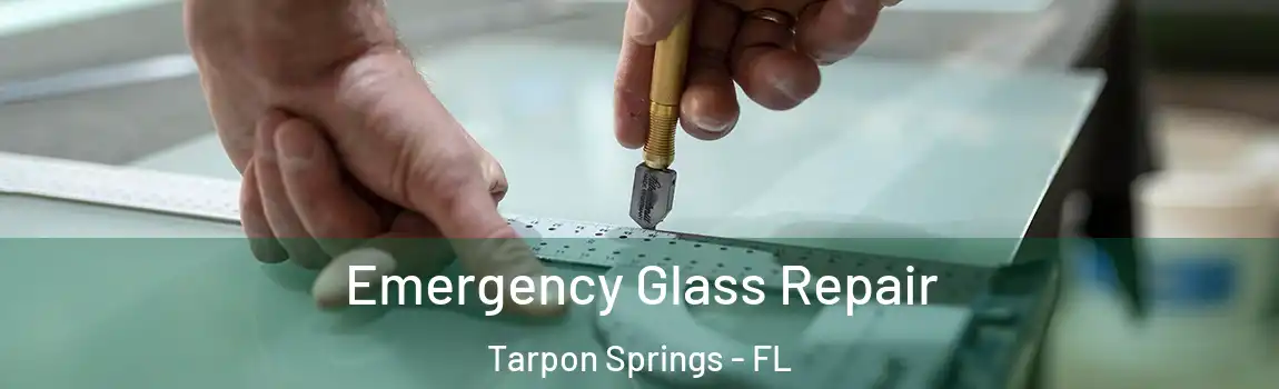 Emergency Glass Repair Tarpon Springs - FL
