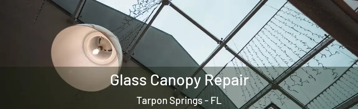 Glass Canopy Repair Tarpon Springs - FL