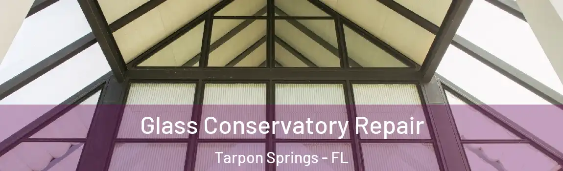  Glass Conservatory Repair Tarpon Springs - FL