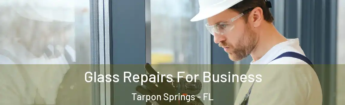  Glass Repairs For Business Tarpon Springs - FL