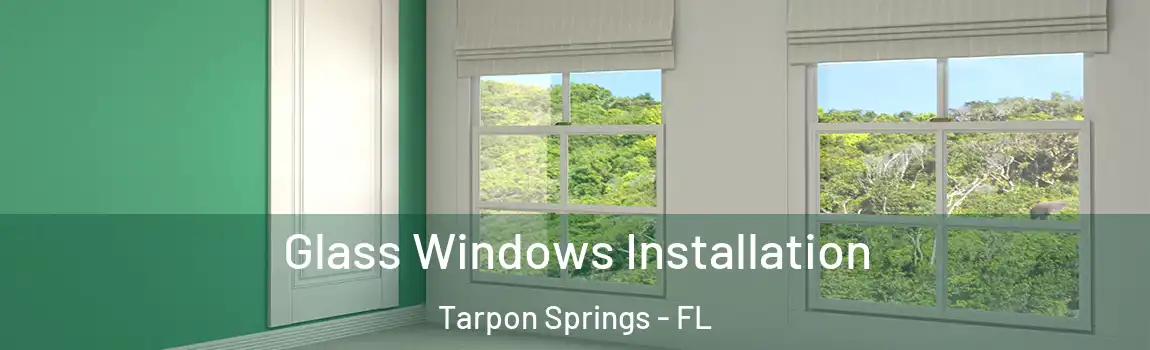  Glass Windows Installation Tarpon Springs - FL