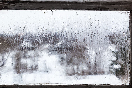 Defogging Double Pane Windows in Tarpon Springs, FL