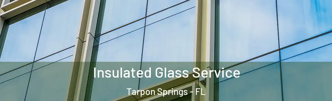 Insulated Glass Service Tarpon Springs - FL