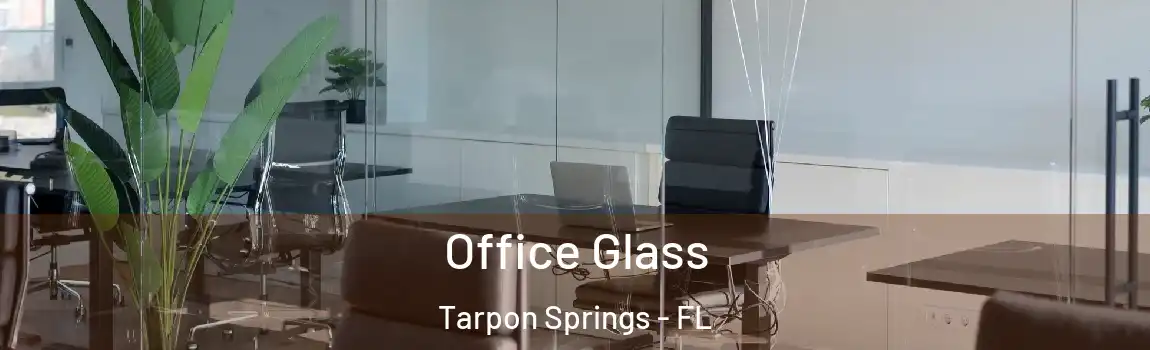  Office Glass Tarpon Springs - FL