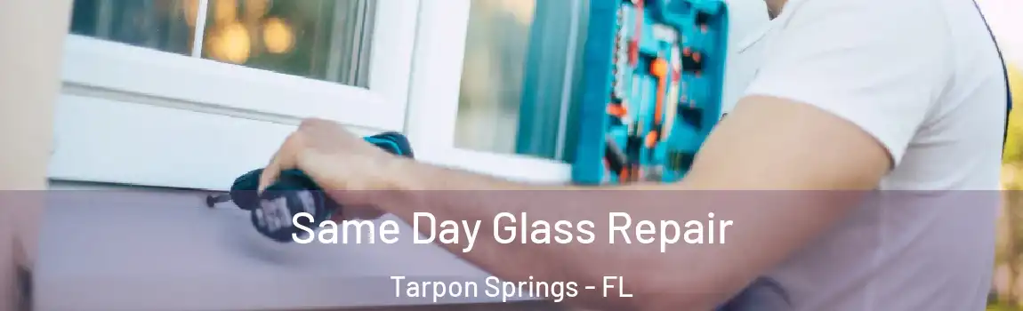  Same Day Glass Repair Tarpon Springs - FL