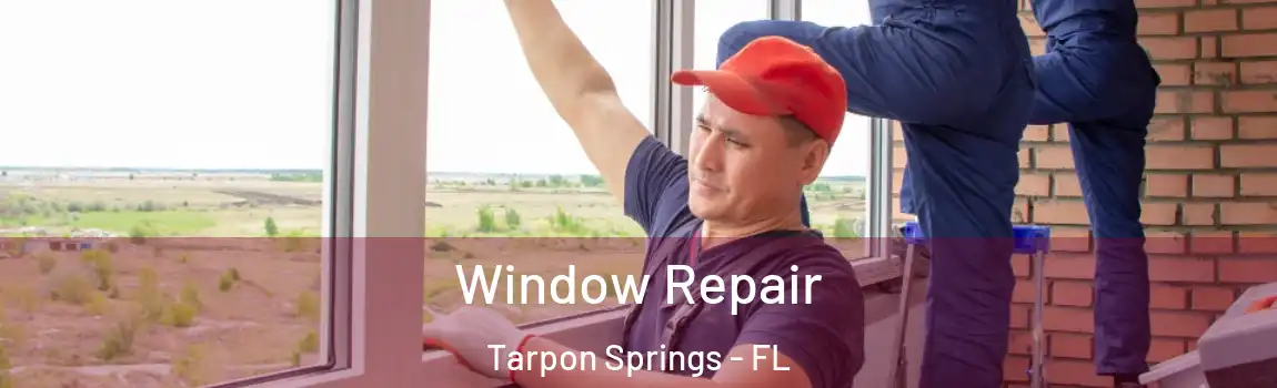  Window Repair Tarpon Springs - FL