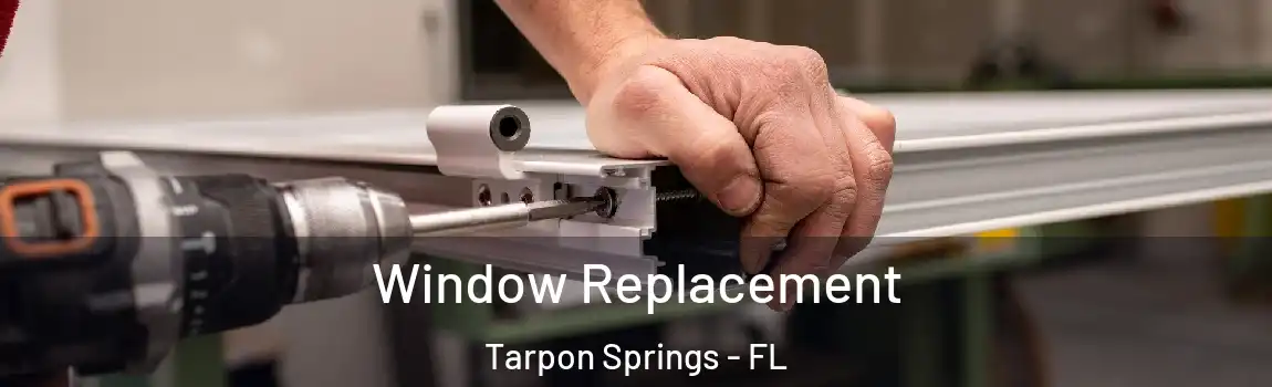  Window Replacement Tarpon Springs - FL