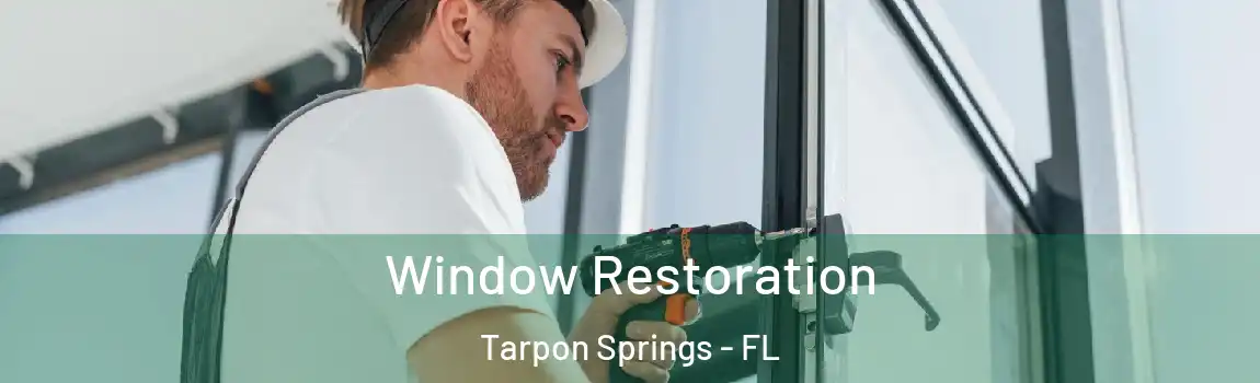  Window Restoration Tarpon Springs - FL