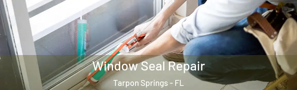  Window Seal Repair Tarpon Springs - FL